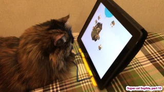 Кошка смотрит мультик про Винни Пуха (2)