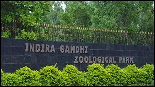 Indira Gandhi Zoological Park, VIZAG | Zoo Tour with Pranav