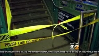 Bronx Subway Slashing
