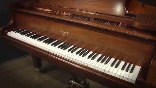 Weber WG-150 4'11" Baby Grand Piano (G047796)