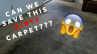 Extreme Carpet Cleaning Transformation ! | MUST WATCH | !!