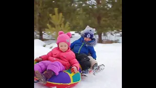 Маламут Парк Северные Ездовые Катание упряжка