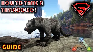 ARK HOW TO TAME A THYLACOLEO 2020 - EVERYTHING YOU NEED TO KNOW ABOUT TAMING A THYLACOLEO