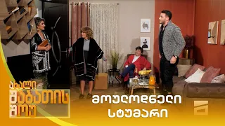 მოულოდნელი სტუმარი | ახალი შაბათის შოუ