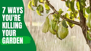7 Deadly Mistakes You're Making with Your Fruit Trees - And How to Save Them!