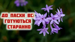 ПОБАЖАННЯ НА ПАСХУ! Великоднє християнське побажання. Автор Катерина Бойко