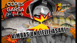 COPES GARŠA -S4E02 - VIMBAS UZ SPININGA UN LIELIE ASARI! (LV-ENG-RUS sub.)