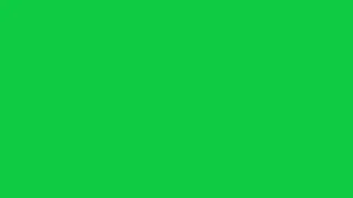 Blank green screen for 24 hours | NO ADS | 4K