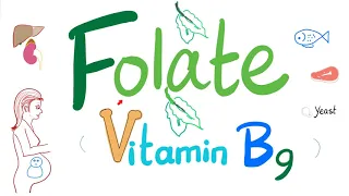 Vitamin B9 (Folate) 🥬 | Structure, Function, Folate Deficiency Anemia Diagnosis & Treatment