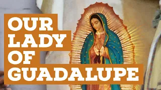Our Lady of Guadalupe | Catholic Central