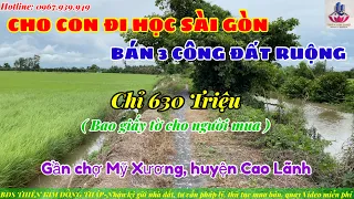 Bán hết 3 công đất ruộng-#630 Triệu Mỹ Hội, Cao Lãnh | MUA BÁN NHÀ ĐẤT ĐỒNG THÁP 0967939949