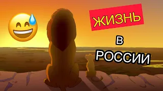 DL- КАРОЛЬ ЛЕВ ЖИЗНЬ В РОССИИ..& понедельник🤣🔥✅🧨