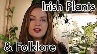 Ireland's Wild Plants and Folklore | Myths, Legends, Magic