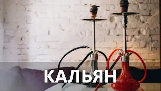 Интересные факты о кальяне