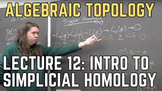 Algebraic Topology 12: Intro to Singular Homology