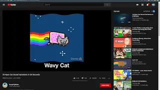 Watching 25 Nyan Cat Sound Variations in 60 Seconds