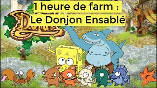 [DOFUS RETRO] 1 heure de farm : Donjon Ensablé