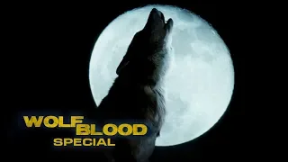 Maddy's first Transformation | WOLFBLOOD Special