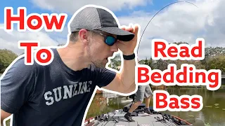 How To Read Bedding Bass (Full Explanation)