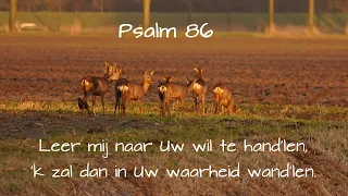 Psalm 86 - Leer mij naar Uw wil te hand'len - Piano improvisatie