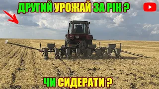 ДВА УРОЖАЯ ЗА ОДИН РІК | ПОСІВ СОНЯШНИКУ ПІСЛЯ ЗБИРАННЯ ОЗИМОГО ЯЧМЕНЮ | СІВАЛКОЮ СУПН-8 | 03.07.21