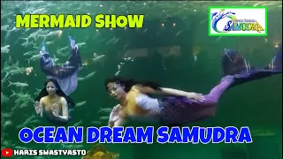 MERMAID SHOW OCEAN DREAM SAMUDRA ANCOL