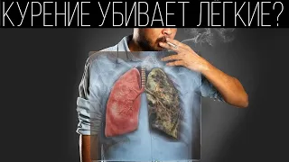 Как курение убивает лёгкие? | ПОЛЕЗНЫЙ ЮТУБ