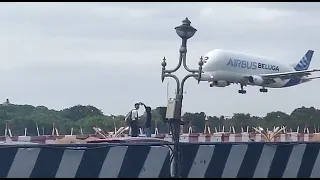 Beautiful Airbus Beluga landing in Chennai Airport | Transport plane #dolphin