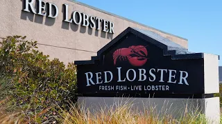 Red Lobster shuts down 40 restaurants | Is the food chain filing for bankruptcy protection?