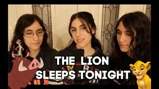 The Lion Sleeps Tonight - The Tokens (Rocca Sisters Cover)