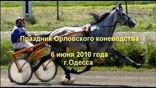Одесский ипподром. Приз Барса - 2010. Весь беговой день.