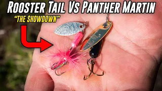 Rooster Tail VS Panther Martin - Trout Fishing SHOWDOWN!!