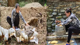 Design a corn mill with green stone - buy ducks to raise