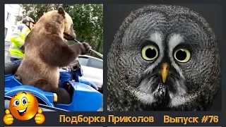 Лучшие приколы 2019 Февраль | Тест на психику | ПО ПРИКОЛУ#76😂 | Свежая подборка