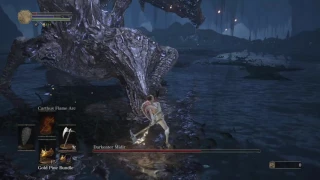 SL1 NG+7 No rolling/sprinting/blocking/parrying Darkeater Midir