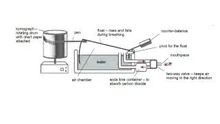 spirometer trace AS OCR Biology WHS