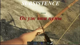 SUBSISTENCE Ох уж эти пумы