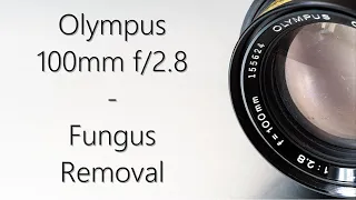 Lens repair: Olympus 100mm f/2.8 : Fungus removal