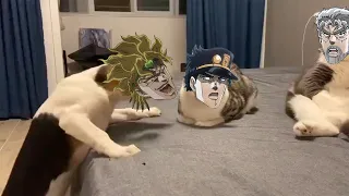 DIO upsets Jotaro