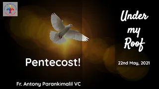 Pentecost! by Fr. Antony Parankimalil VC, 22nd May 2021