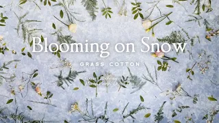 flowers blooming on snow l GRASS COTTON+