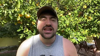 Liberal Redneck - Pelosi Disrespects Trump