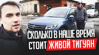 СКОЛЬКО В НАШЕ ВРЕМЯ СТОИТ ЖИВОЙ ТИГУАН