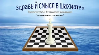 Шахматы. Тактические приемы для начинающих шахматистов. Уничтожение защитника.