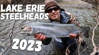 Lake Erie STEELHEAD Fishing 2023 (SMALL Tributaries)