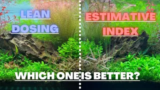 I TESTED TWO DIFFERENT FERTILIZER METHODS! HERE ARE THE RESULTS!