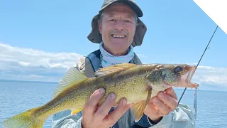 Walleye, bass, perch, sheepshead  - mixed bag of fun