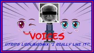 VOICES - HTrips Lieblingsmix "I really like it!"