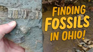 Finding Fossils in Ohio!