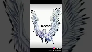 Расскажи мне кто твой знак и как можно скорей я могу заходить или встать у дверей